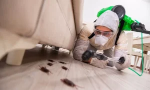 خدمة مكافحة الحشرات